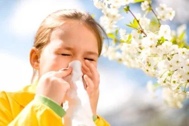 blog12 - FarmaciaMaraceite